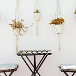 Couette-café Casa Dona Carmela - Tenerife (adults Only)
